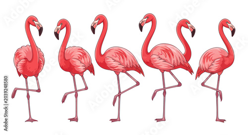 Tablou pe pânză Five Pink Flamingos in a Row.