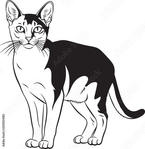 Bilde på lerret sleek black and white minimalist line drawing of a slender oriental shorthair ca
