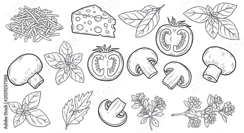 Photos Various types of mushrooms and herbs.