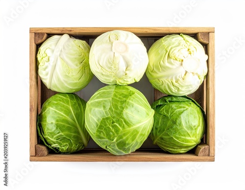 Six cabbages, varying shades, in a wooden crate