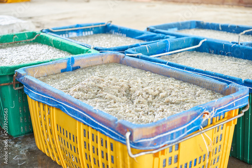 Canvas-taulu A documentary series captures the traditional Korean process of making dried whitebait sheets