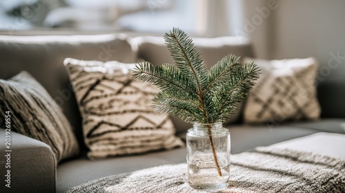Decorative Green Pine Branch in Glass Jar on Cozy Living Room Couch