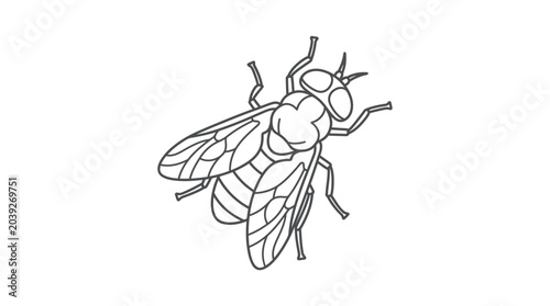 Tableau sur toile Angled view of a housefly line art drawing.