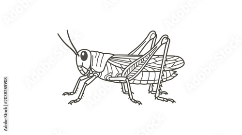 Foto Detailed grasshopper outline illustration for biology education.