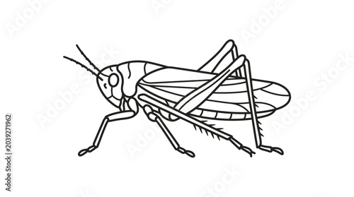 Foto Grasshopper side view line art illustration.