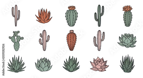 Foto Variety of Cacti and Succulents Plants.