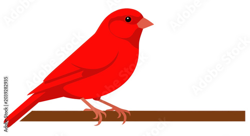 Φωτογραφία Vibrant Red Cardinal Bird Perched Alone.
