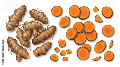 Foto Turmeric root vector set, fresh whole curcuma rhizomes and orange slices, organi
