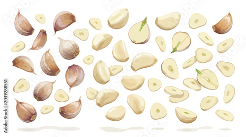 Cuadro en lienzo Watercolor garlic cloves and slices set, fresh organic garlic bulbs collection,