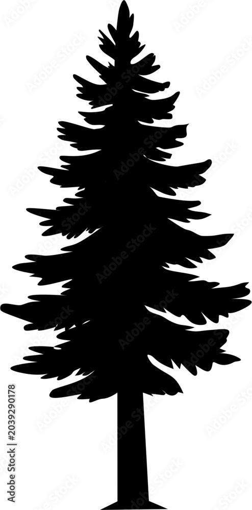 Fototapeta premium Evergreen Tree Silhouette: Forest and Holiday Element