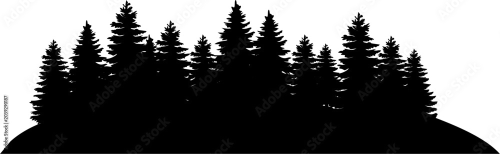 Obraz premium Forest Silhouette: Evergreen Trees on a Hill