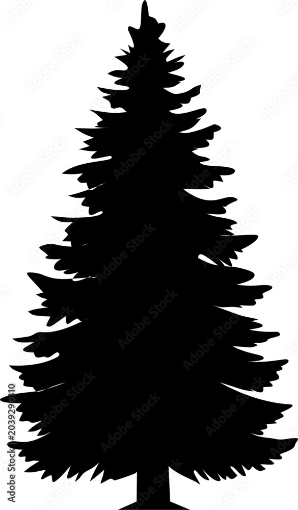 Fototapeta premium Evergreen Silhouette: Pine Tree Against White Background