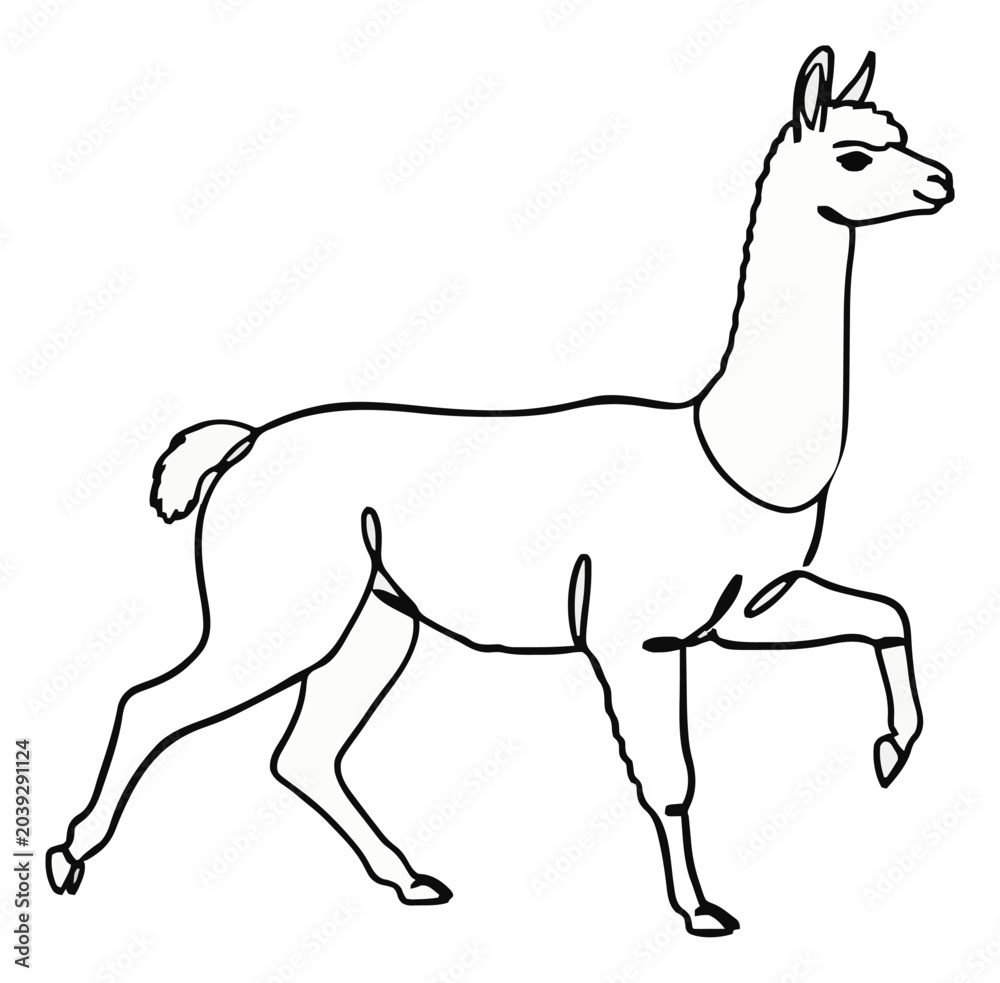 Fototapeta premium Running alpaca minimalist continuous line art icon. Generative AI