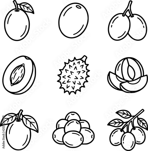 Fotografie Set Ikon Buah Plum dan Durian Monokrom – Koleksi Vektor Outline Buah Tropis, Bij