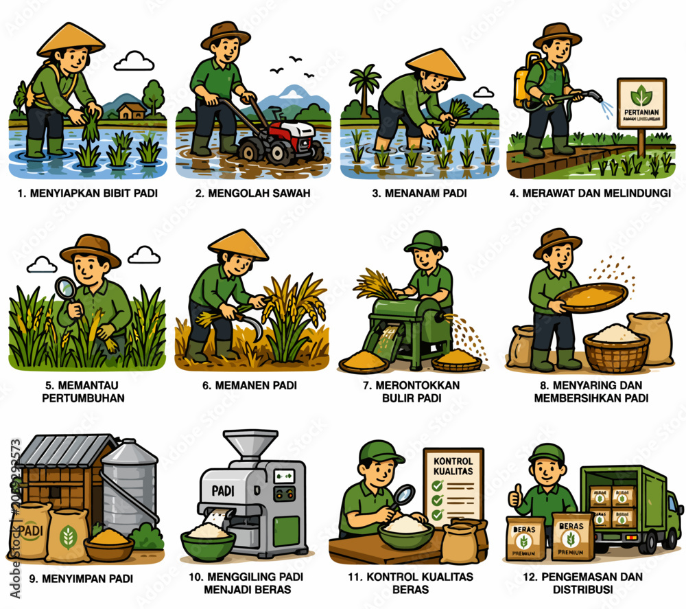Fototapeta premium Modern Rice Farming and Rice Production Vector Set – Farmers Planting, Harvesting and Processing Rice in Flat Bold Outline Style