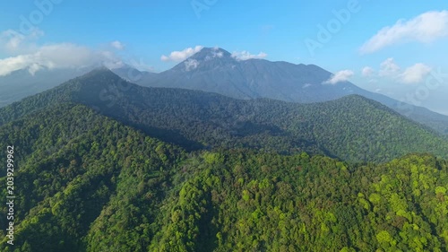 Drone footage captures a lush, green tropical forest canopy, revealing the majestic peak of Mount Gede Pangrango under a clear blue sky in West Java, Indonesia. High-quality 4K footage for nature and 
