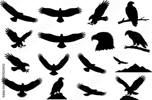 Eagle hawk flying silhouettes vector icon set isolated