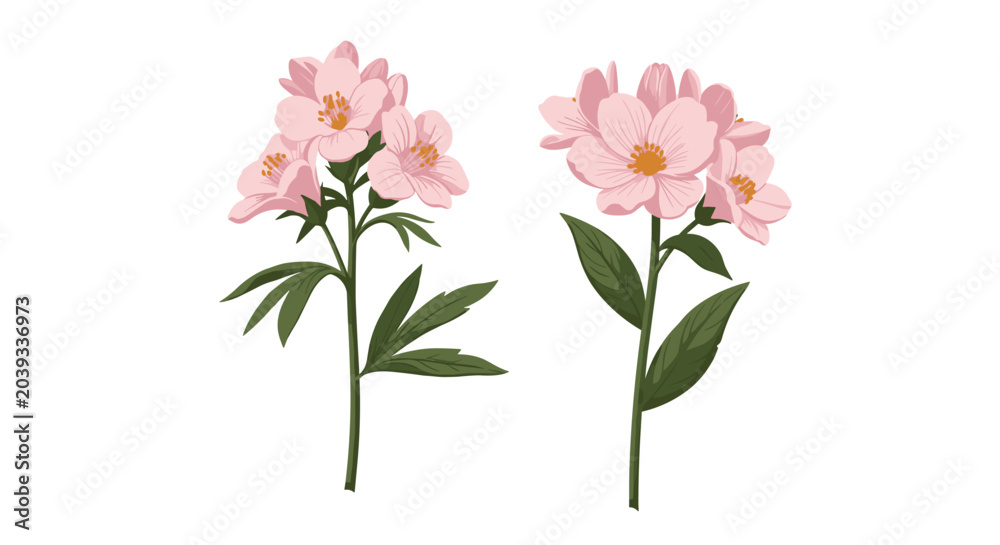 Fototapeta premium Two branches of pink jasmine-like flowers with green leaves, depicted in a detailed and realistic botanical style for nature-themed projects.