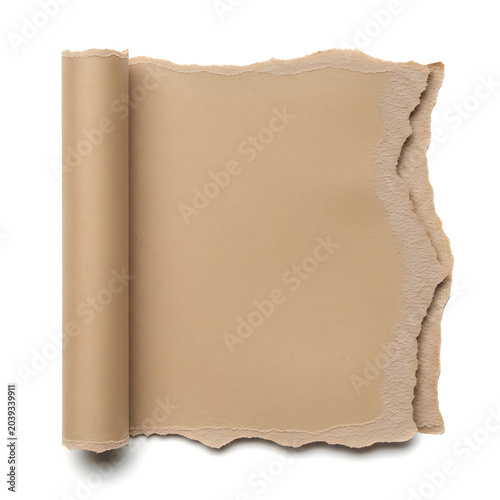 A piece of torn brown paper scroll with rough edges for your creative text and design work