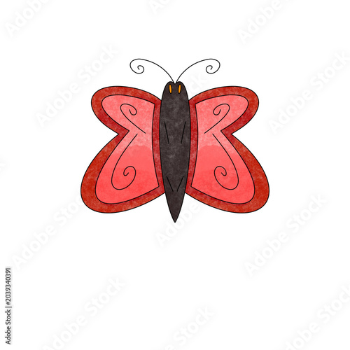 butterfly