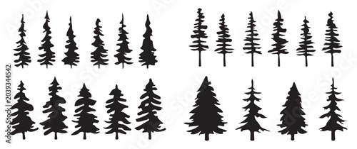 Photos Pine tree silhouette and outline vector set