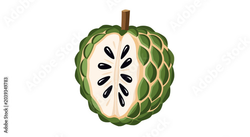 Tableau sur toile Cross section of soursop fruit vector illustration