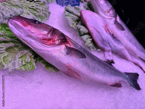 Pescado fresco sobre hielo en el mostrador de una pescadería