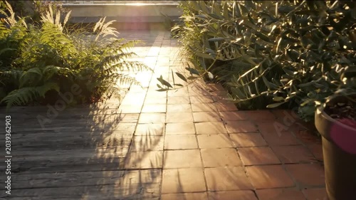 Modern Rooftop Garden with Decorative Plant Shadows