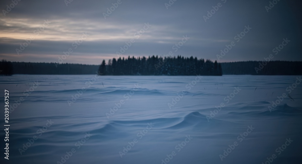 Fototapeta premium Snowy Expanse Leading Towards a Frozen Forest Landscape