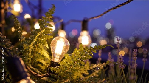 Rooftop Eco Garden with Decorative Ambient Lights