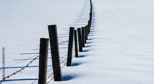 Wooden fence posts in snow