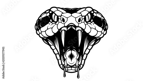 Obraz na płótnie Aggressive Snake Head Illustration with Fangs