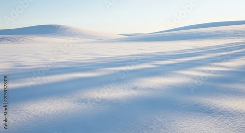 Vast Untouched Snow Field Under Soft Winter Light