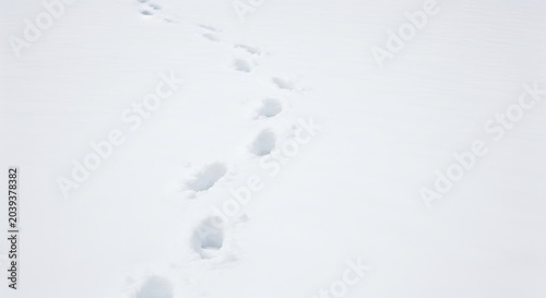 Footprints in Fresh Winter Snow