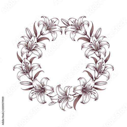 Lilly engraving vector illustrations art