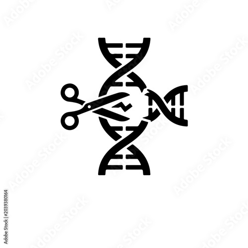 icon of a DNA double helix undergoing CRISPR gene editing, featuring a modified strand with a cutting scissor or precise laser element, isolated on a white background.
 