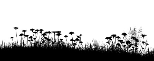 Wildflower grass silhouette border isolated on transparent background.