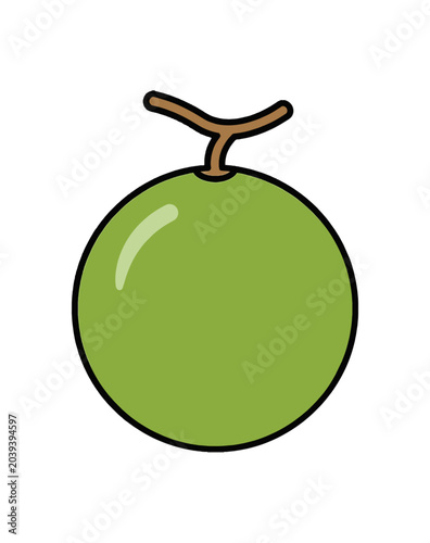 Simple Cartoon Illustration of a Green Melon Fruit.