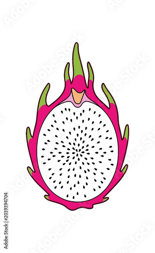 Vibrant Dragon Fruit Slice Illustration with Pink Skin and White Flesh.