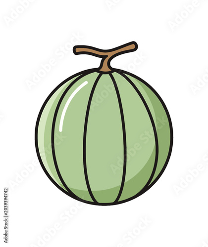 A Simple Cartoon Illustration of a Green Melon Fruit.
