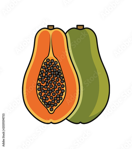 Illustration of a Ripe Papaya Fruit Cut in Half.