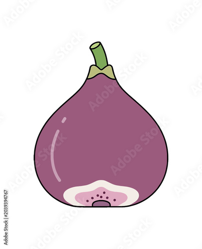 Simple Illustration of a Ripe Purple Fig Fruit.