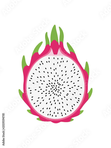 Vibrant Dragon Fruit Slice Illustration with Pink Skin and White Flesh.