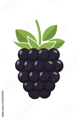 Fresh Ripe Blackberry Fruit Illustration with Green Leaves.