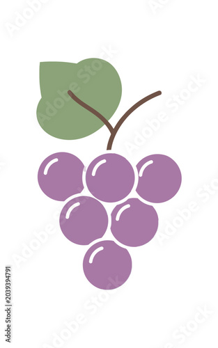 Simple Illustration of a Bunch of Purple Grapes with a Leaf.