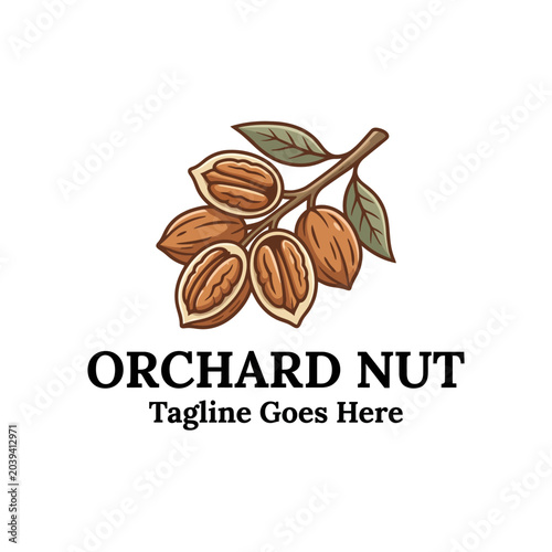 High-quality pecan nut illustration on a leafy branch, perfect for organic food brands, farms, and orchard businesses.