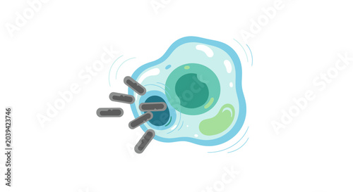 Tableau sur toile Microscopic bacteria attacking a light blue cell