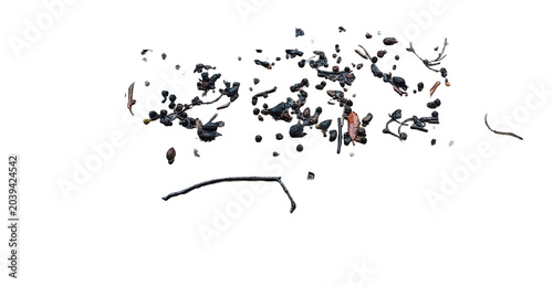 Billede på lærred Close-up isolated translucent dried botanicals including twigs, leaves, and seed clusters against a black background
