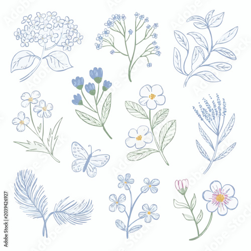 Hand-Drawn Botanical Elements Set: Sketch Floral Branches, Pastel Wildflowers, and Butterfly Illustrations