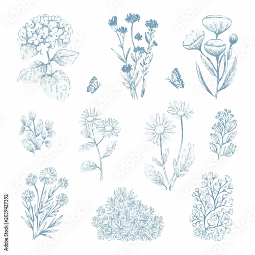 Vintage Blue Sketch Botanical Elements Set: Hand-Drawn Wildflowers, Hydrangea, Daisies, and Butterflies Clipart